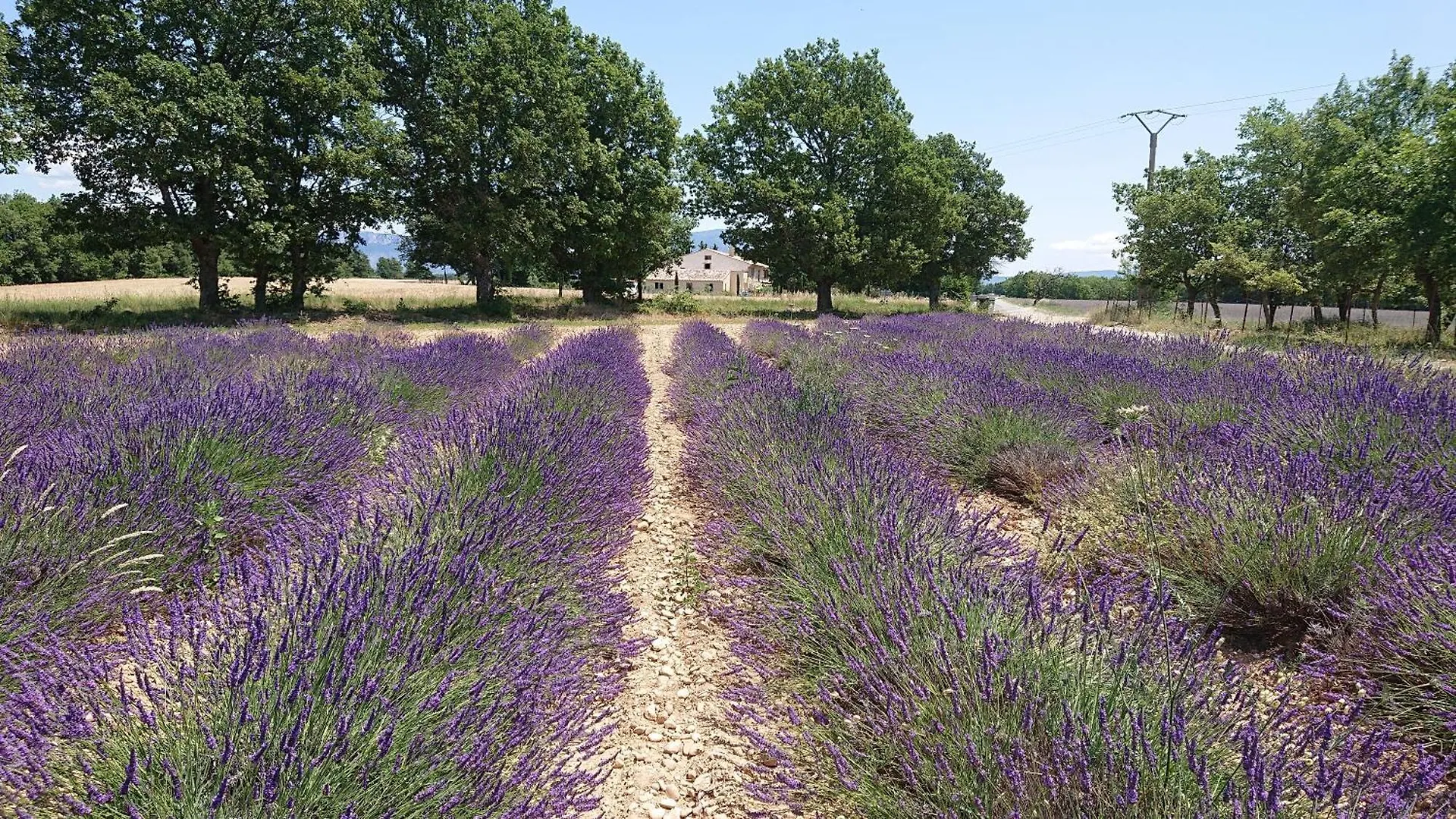 Holiday home Gite Olivier, Ferme Bel Air Riez France